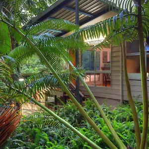  Lodge Chambers Wildlife Rainforest Australie